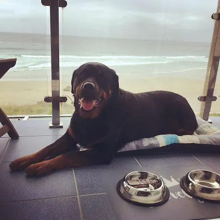 Guest house Refugio O Castro Barreiros