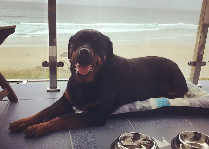 Penzion Refugio O Castro Barreiros